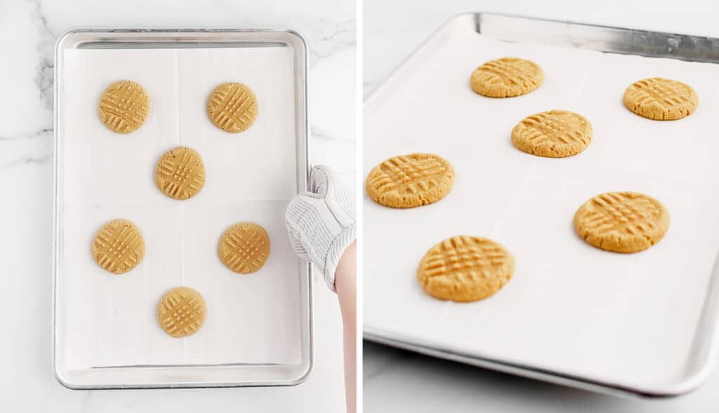 Peanut Butter Cookies on Baking Sheet
