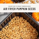 Air Fried Pumpkin Seeds Pin 1