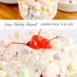 Ambrosia Salad Pin 3