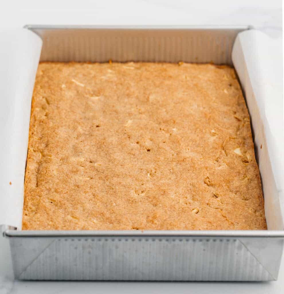 Apple Blondies Baked in a Metal Pan