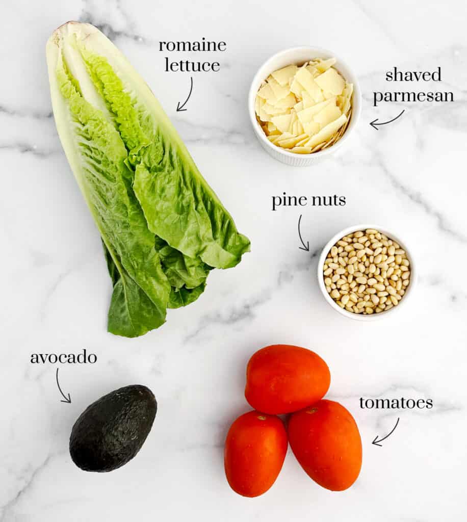 Romaine, Roma Tomatoes, Avocado, Parmesan, Pine Nuts on Marble Surface