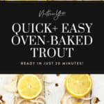 Baked Trout Fillet Pin 2