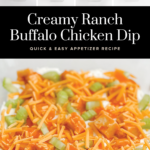 Buffalo Chicken Dip Pin
