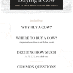 Buying-a-Cow_Pinterest1