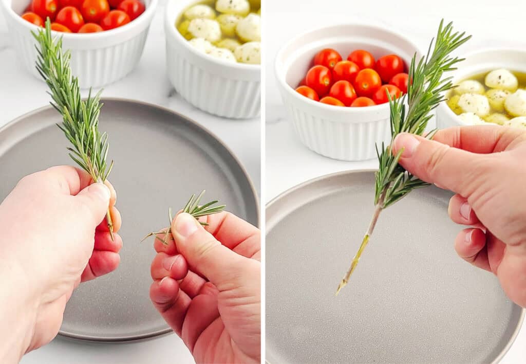 Removing Ends of Rosemary Sprigs