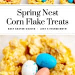 Birds Nest Cornflake Treats Pin 3