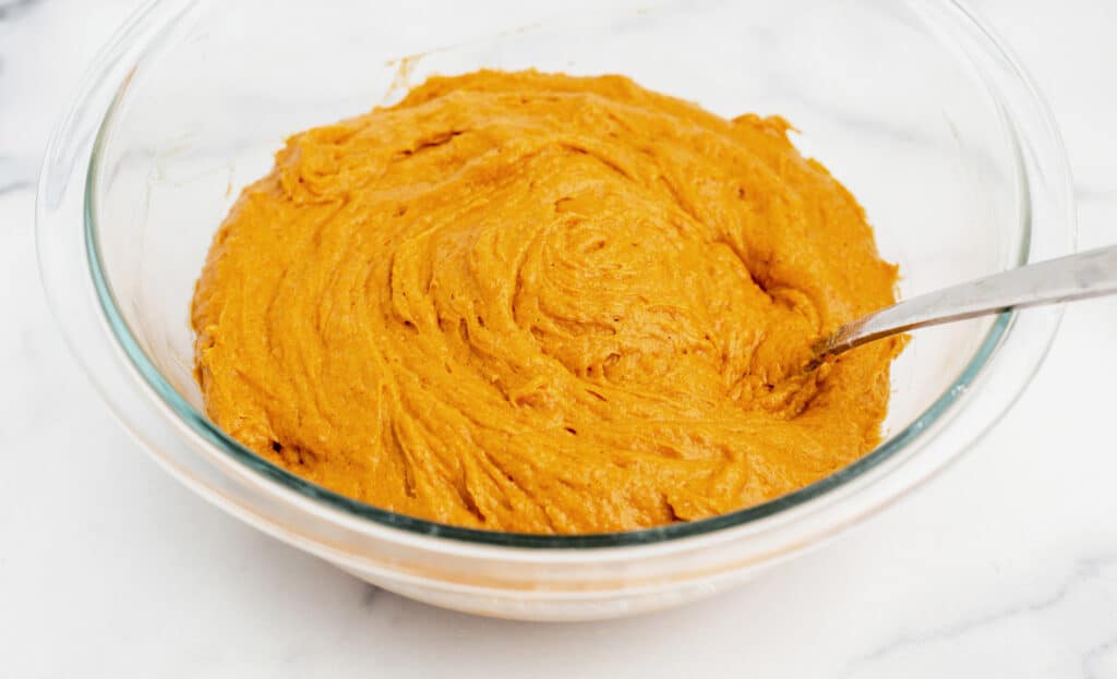 Fully Mixed Pumpkin Bread Batter