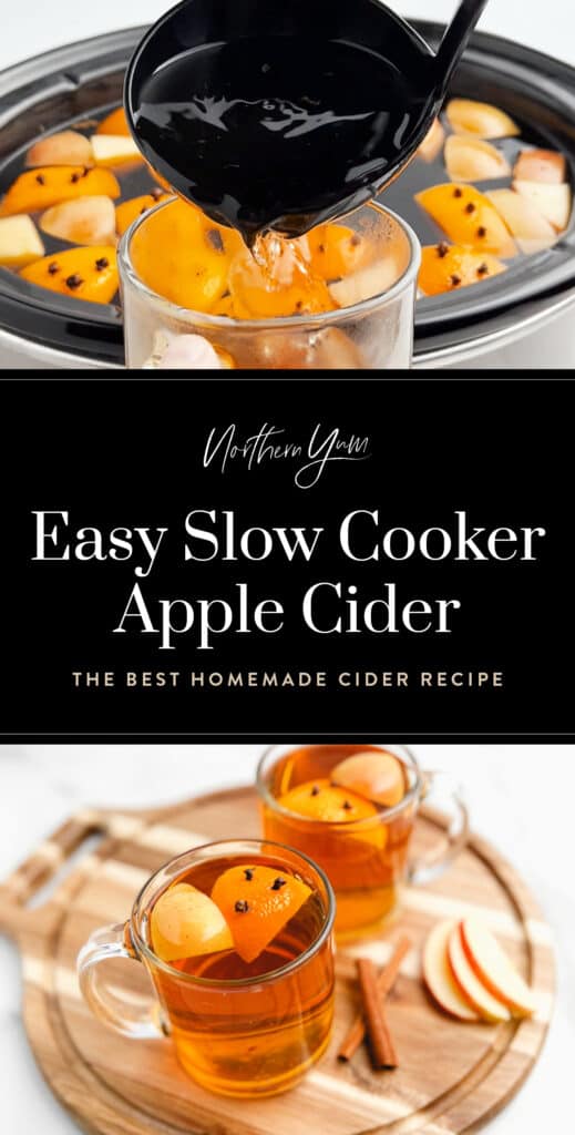 Easy Slow Cooker Apple Cider Pin 4