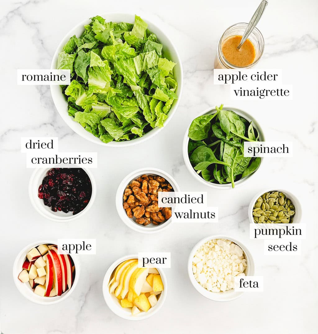 Fall Salad Ingredients on White Marble Surface