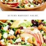 Fall Harvest Salad Pin 2