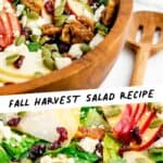 Fall Harvest Salad Pin 3