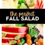 Fall Harvest Salad Pin 5