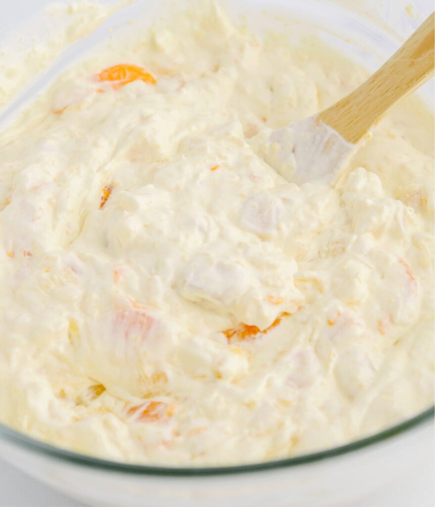 Fruit Mixed into Pudding Mixture