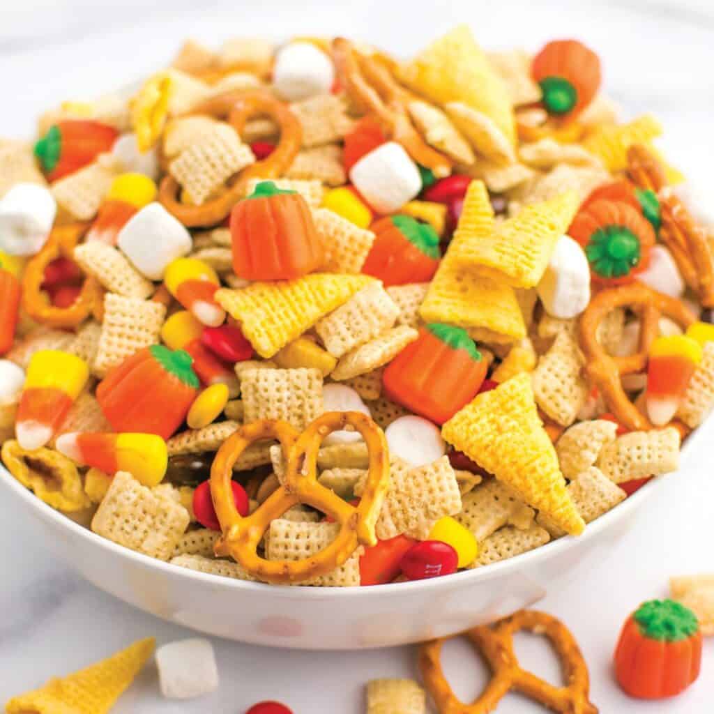 Harvest Snack Mix IG