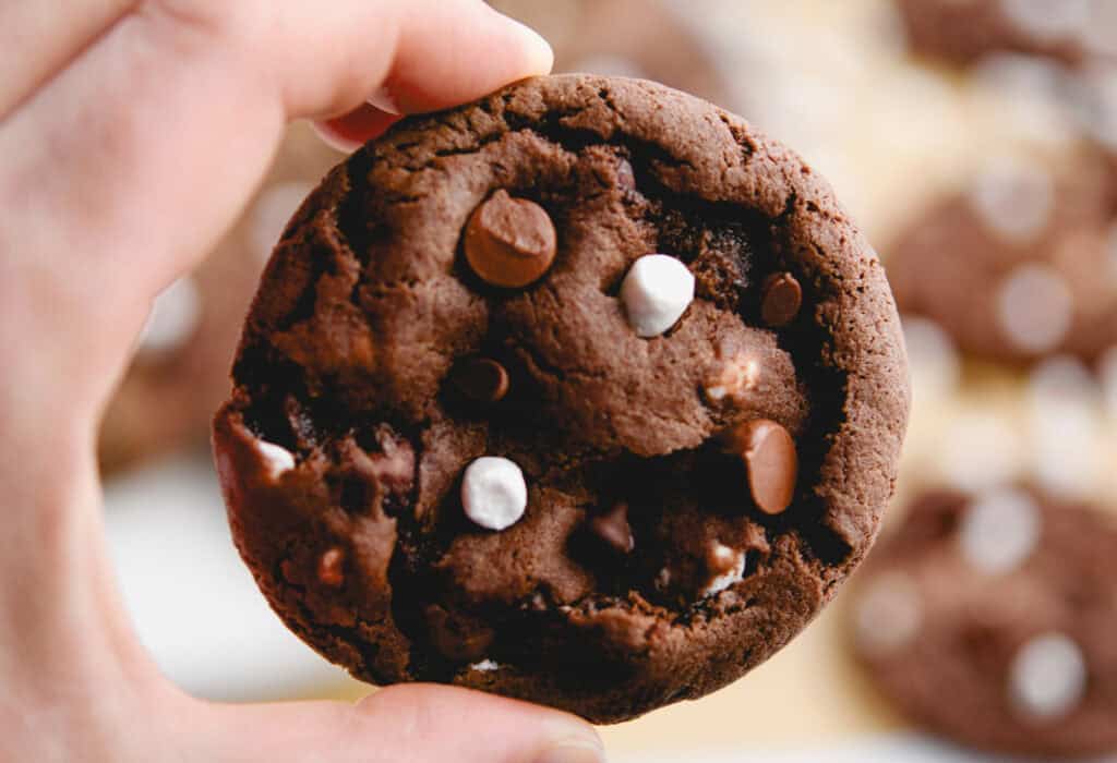 Hand Holding One Hot Cocoa Cookie