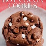 Hot Cocoa Cookies Pin 4
