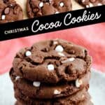 Hot Cocoa Cookies Pin 5