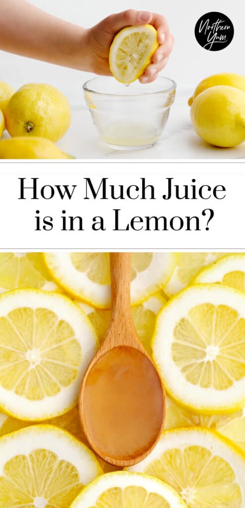How Much Juice in One Lemon Pin 3