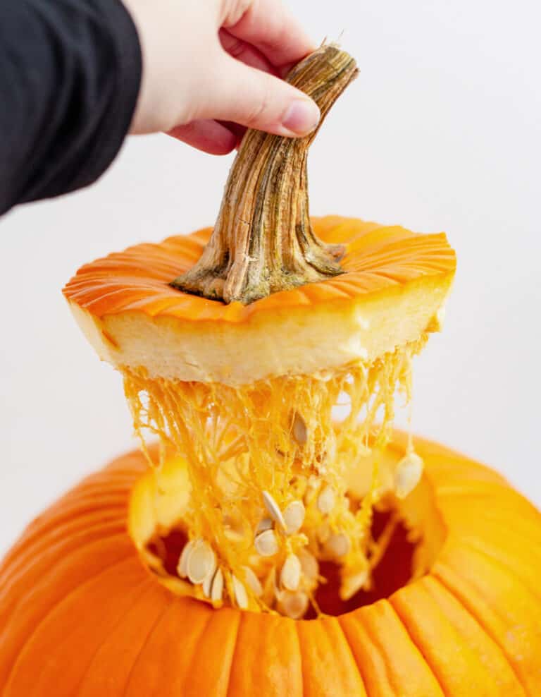 Hand Holding Stem and Part of Pumpkin Cut with Seeds and Pumpkin Hanging Off of It