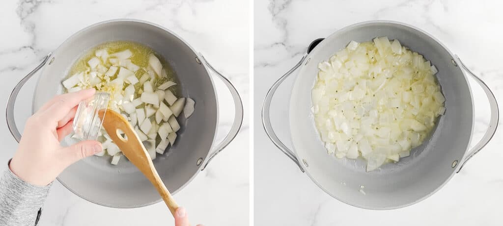 Sauteeing Onions and Garlic in Grey Pot on Burner