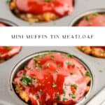 Mini Meatloaf Pin 1