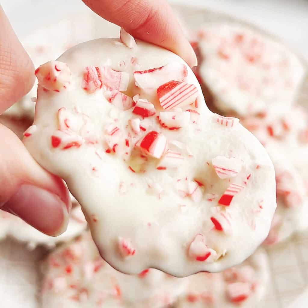Peppermint Pretzel Crisps IG