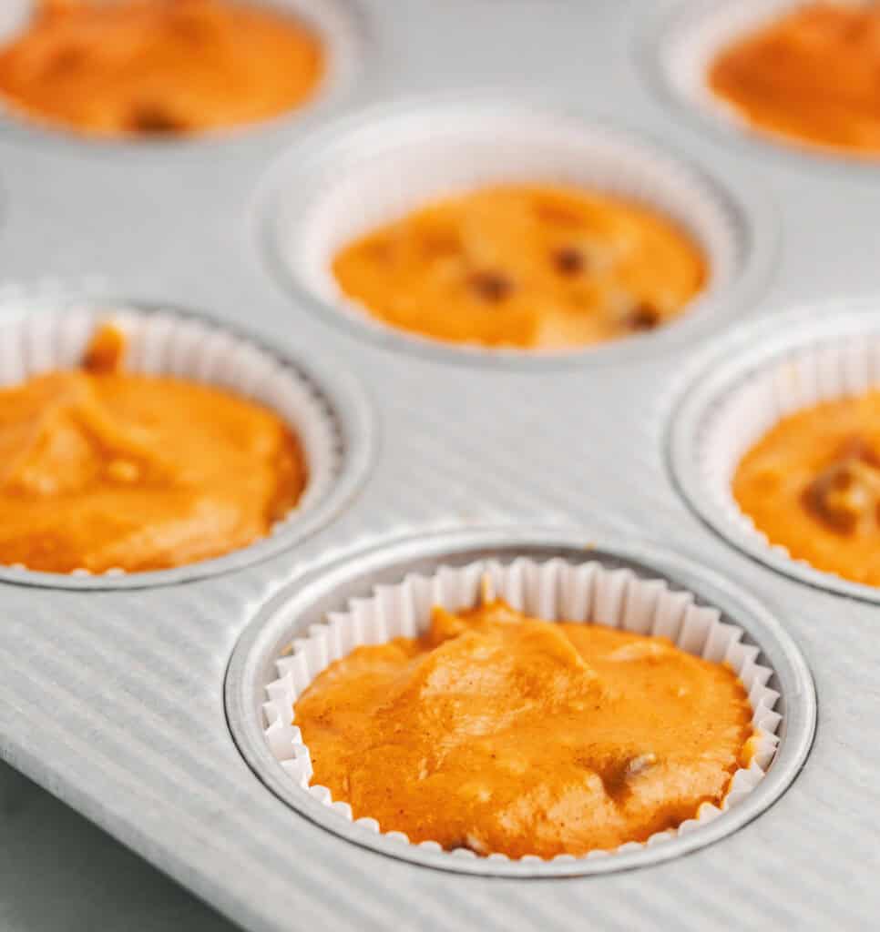 Pumpkin Chocolate Chip Batter in Muffin Tin