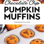 Pumpkin Muffins Pin 5