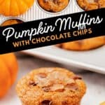 Pumpkin Muffins Pin 7