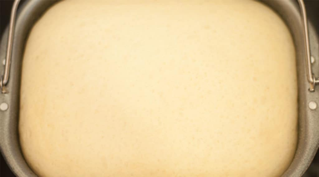 Dough Rising in Bread Machine Pan