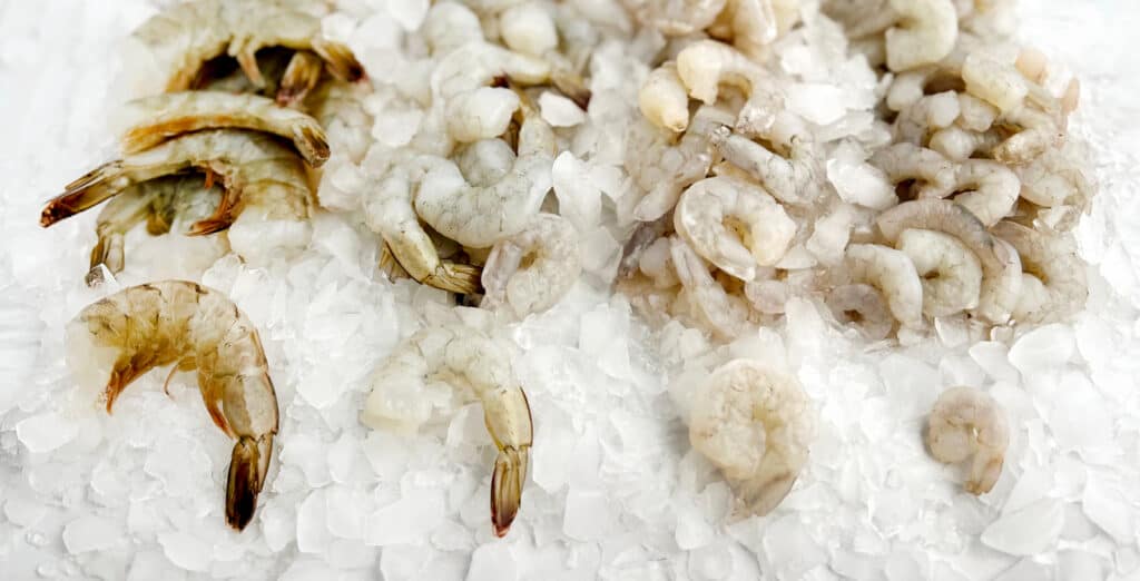 Raw Shrimp Different Sizes on Ice