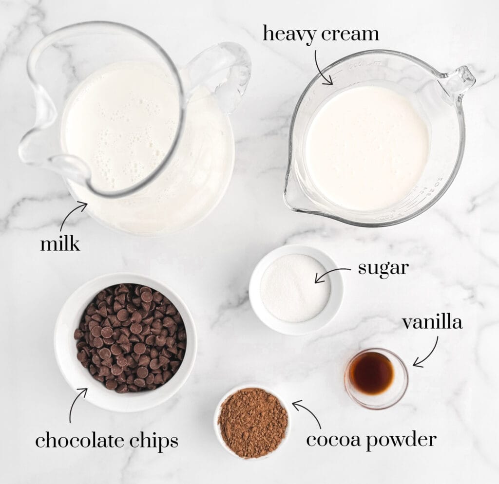 Ingredients for Hot Cocoa in the Slow Cooker