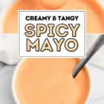 Spicy Mayo Pin 4
