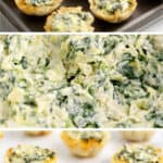 Spinach Artichoke Cups Pin 2