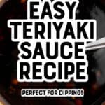 Homemade Teriyaki Sauce Pin `