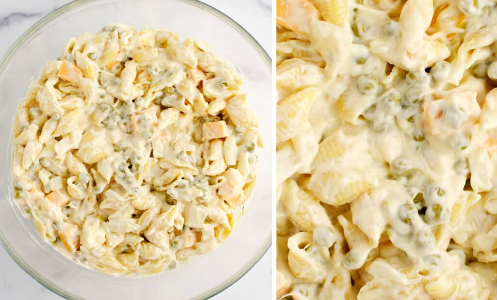 Closeup of Pasta Salad with Tuna