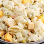 Tuna Pasta Salad Pin 2
