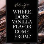 Where Does Vanilla Flavoring Come From - Pin 2
